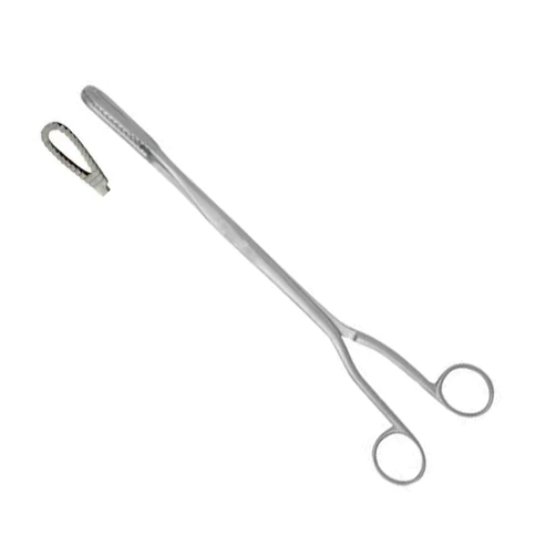 Bierer Ovum Forceps