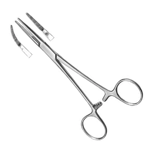 Providence Hospital Artery Forceps